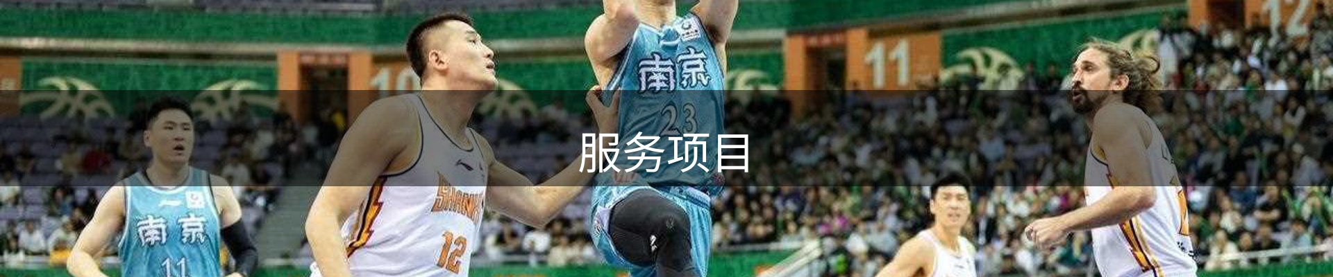 服务项目
